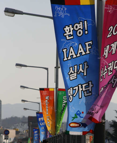IAAF 실사단 22일 대구 방문시민의 적극 협조 필요 