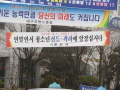 경산시 많은 량의 불법현수막  철거!경산시 조직개편 후..
