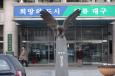 대구시 2007년 공무원 임용시험 경쟁률 ‘74대 1’