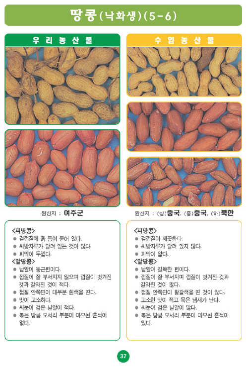 [포토소식]우리농산물 구별법 땅콩(낙화생)!!!
