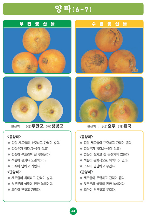 [포토소식]우리농산물 구별법 양파!