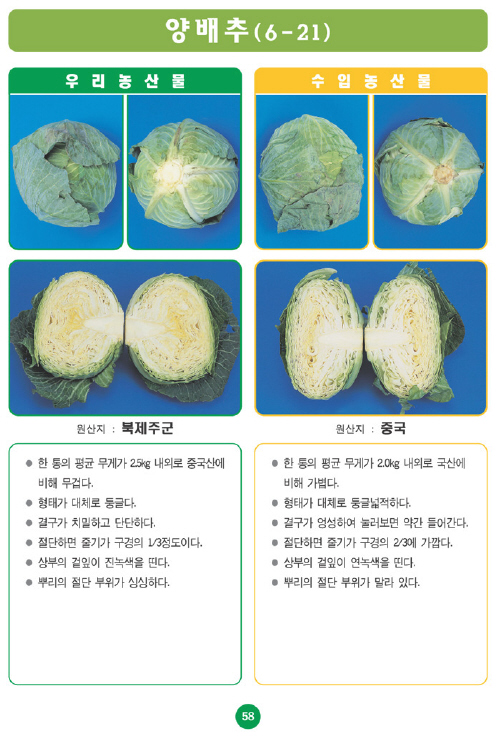 〔포토소식〕우리농산물 구별법 양배추!!