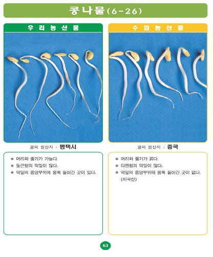 〔포토소식〕우리농산물 구별법콩나물!!!
