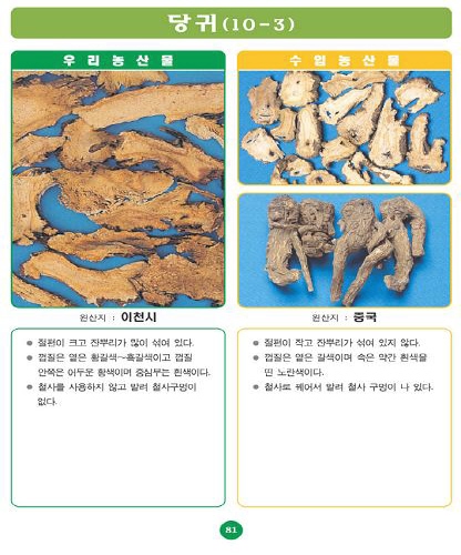〔포토소식〕우리농산물 구별법 '당귀'