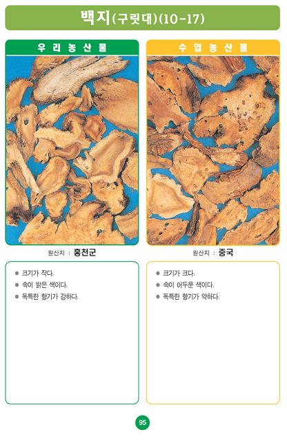 〔포토소식〕우리농산물 구별법 백지(구릿대)