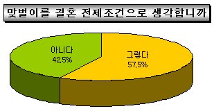 결혼의 전제조건은 맞벌이를 하라! 