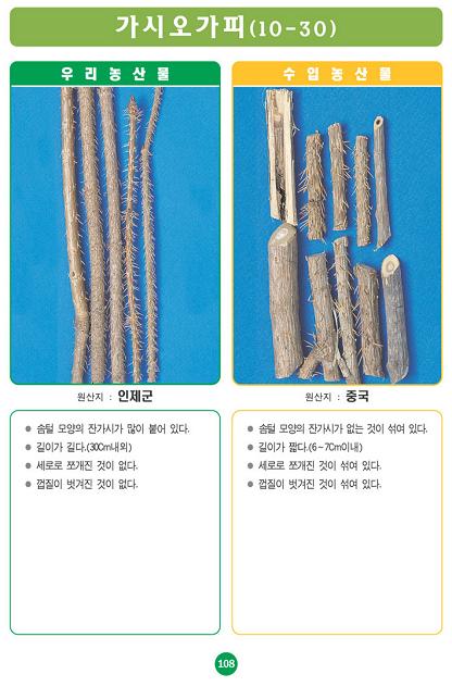 [포토소식]우리농산물 구별법 '가시오가피'