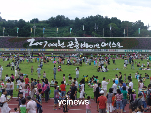 개막 5일째 36만명 입장 기록! 이렇게 많은 관람객이..