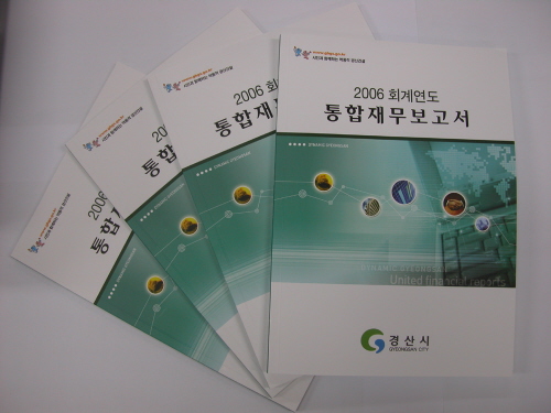 '2006년도 통합재무보고서' 발간 일반.특별회계 등 ..