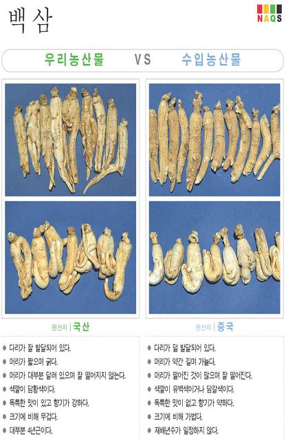 [포토소식]'백삼' 사진으로 알아보는 우리농산물 구별법 