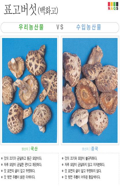 [포토소식] '표고버섯(백화고)' 사진으로 알아보는 우..