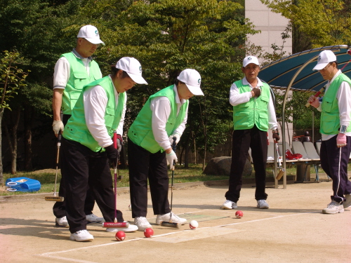 경산시장기 게이트볼대회 열려 동호인 100여명 참가, ..