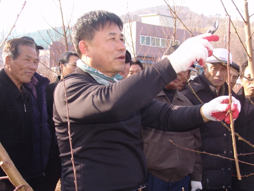 복숭아재배농업인 현장교육 실시 한명희 강사, 실습을 통..