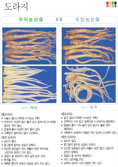 [포토뉴스] '도라지' 사진으로 알아보는 우리농축산물 ..