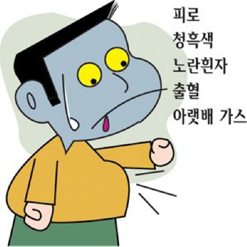 [김현일 원장의 한방칼럼]간질환의 증상과 한방치료법