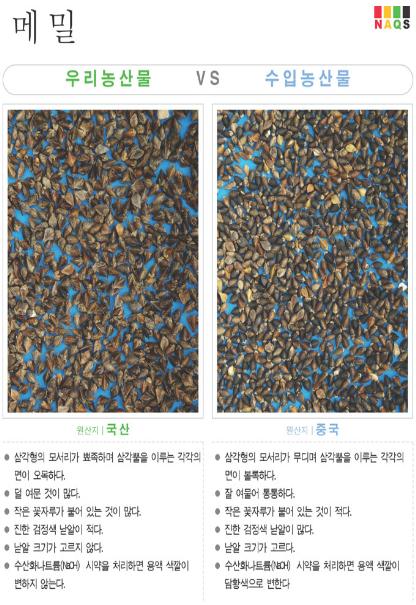 [포토뉴스]  '메밀' 사진으로 알아보는 우리 농축산물..
