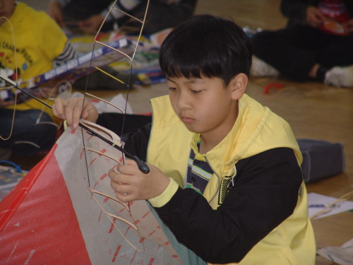 2008 청소년과학탐구대회 예선 열려 과학그림, 항공,..