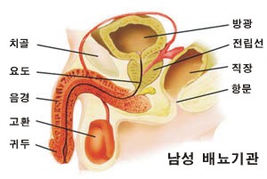 [김현일 원장의 한방칼럼]요실금이란???
