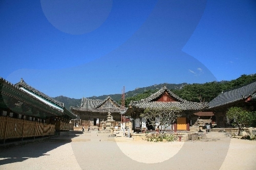 잊혀진 왕국 가야를 찾아서2박 3일간의 가야체험 - 통..