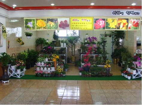 경산휴게소 화훼코너 개장 눈길 숯분경, 선인장, 꽃 등..