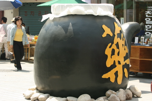 '약령(藥令)의 숨결, 건강의 물결' ‘2008 대구 ..