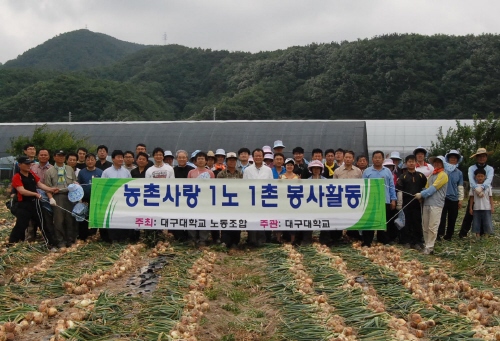 대구대 교직원 ‘농촌일손돕기’ 용성면 덕천리 일원서 양..