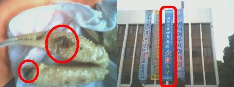 피서객 농락행위, “언제 근절될까?” 경북 영덕, 피서..