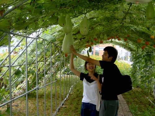 쓰레기 공터에서 꽃동산으로~ 동부동 유관기관 합동 꽃동..