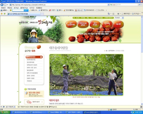 ‘압량 금구리’ 우수 정보화마을 선정! 전자상거래 통해..
