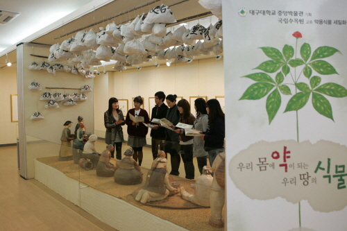 ‘우리 몸에 약이 되는 식물들’ 대구대 중앙박물관, ‘..