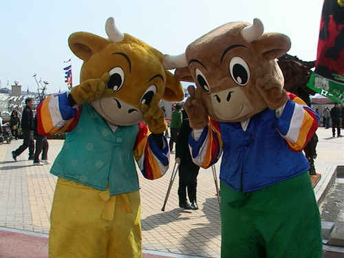 [포토뉴스]청도소싸움축제 이모저모~