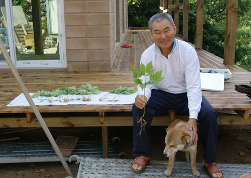 산삼 17뿌리 발견한 충견 화제! 산삼 발견한 후 3일..