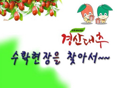 [KSI 기획 영상]경산대추 수확현장을 찾아~