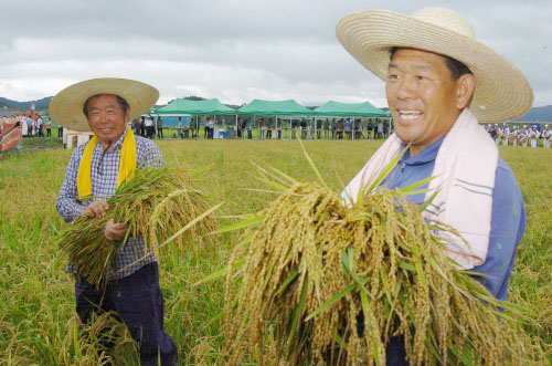 2010년산 공공비축미곡 매입가 확정 벼 검사 1등급 ..
