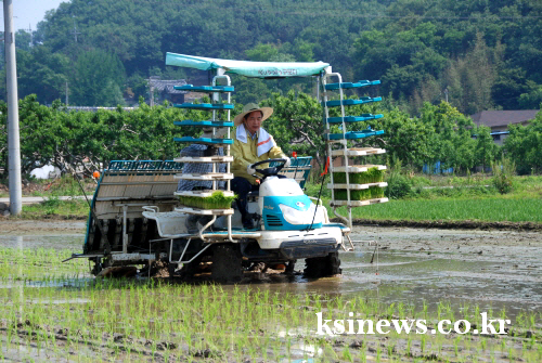 최 시장 ‘이앙기 직접 몰고 모내기’ 경산 벼 재배 1..