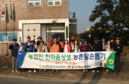 농협 경산지부 상생 농촌일손돕기 1사1촌 백안리 마을 ..