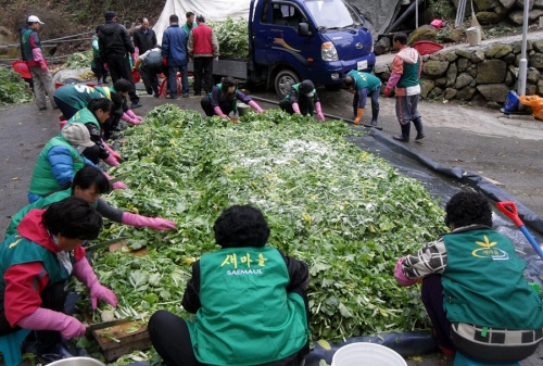 와촌새마을협의회 선본사 김장 봉사 쌀 2,400kg 기..