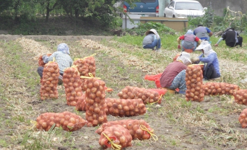 경산시, 농업 5개년 계획 대폭 보완 신규사업 확충, ..