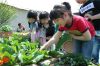 경산시 여성농민회 ‘도시농부학교’ 도시텃밭 활성화 위해..
