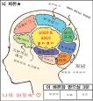 ‘건강한 두뇌, 똑똑한 건강’ [건강상식] 한국건강관리..