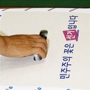 오후 4시, 경산-42.5%, 청도-55.6%경산.청도..