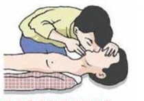 25일부터 재난대응 안전한국훈련 경산시, 26일 오후 ..