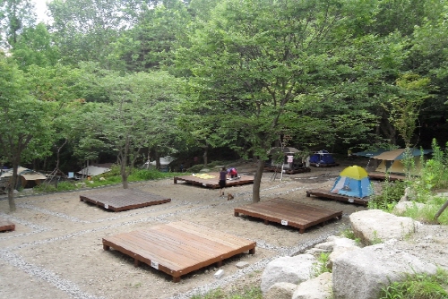 팔공산 ‘낭만 캠핑’ Start! 팔공산공원 동화지구 ..
