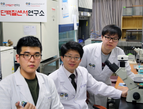 영남대, 가습기 살균제 ‘유해성’ 입증 피부노화 촉진 ..