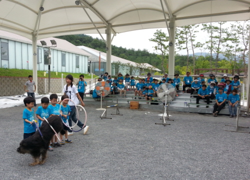 삽살개와 함께한 ‘1·3세대 통합캠프’ 경산시노인종합복..