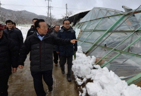 김관용 지사, 폭설 피해현장 방문  도로제설·농작물 피..