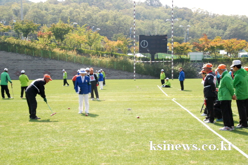 경산노인회장기 게이트볼대회 열려 경산·청도 10개 게이..
