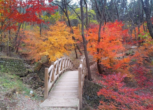 대구·경북 상생으로 ‘팔공산둘레길’ 조성 오는 2018..