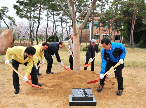 경산시, 남매공원에 느티나무 식재 식목일 기념식수.....