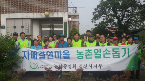 농협경산시지부, 농촌 일손돕기 구슬땀 자매결연마을 압량..